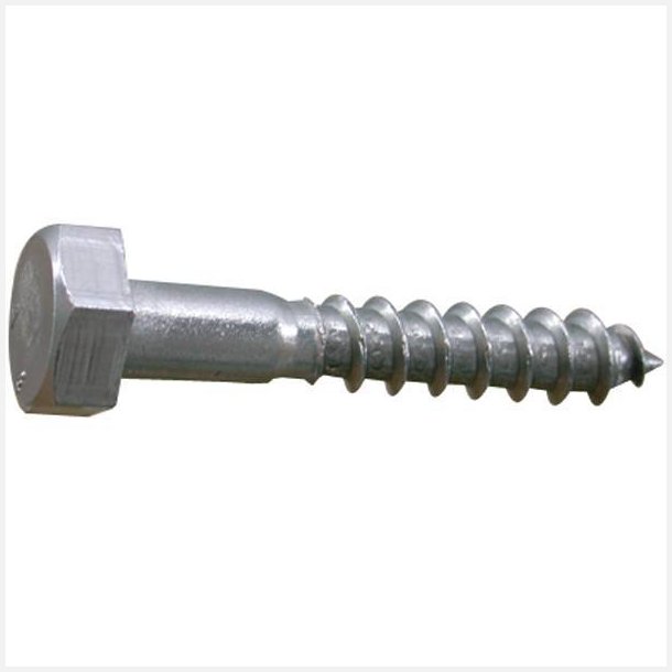 Skrue fransk 6 x 50 a4 DIN 571-4 2stk