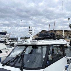 ScanStrut tilspidset radarmast til lys, kameraer, GPS, VHF o