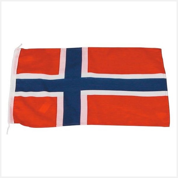 1852 Gsteflag Norge, 20x30cm