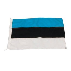 1852 Gsteflag estland 20x30cm