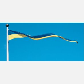 Adela Vimpel Sverige 500X40X6Cm