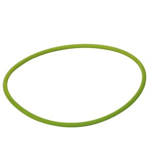 O-ring for inspektionsdksel