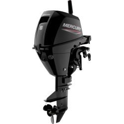 Mercury F 8 MH EFI 8 hk